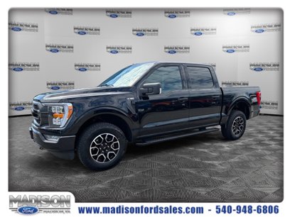 Used 2023 Ford F150 XLT w/ Equipment Group 302A High