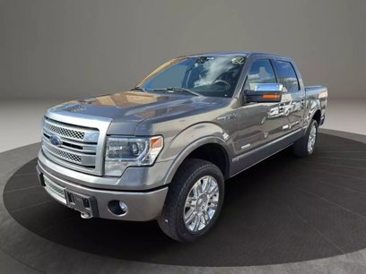 Used 2013 Ford F150 Platinum