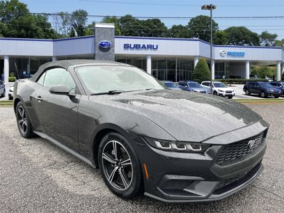 Used 2024 Ford Mustang Premium