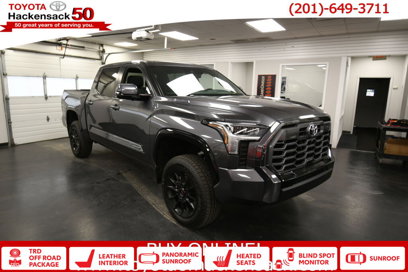 New 2025 Toyota Tundra Platinum