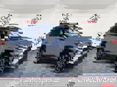 New 2025 Toyota RAV4 XLE Premium