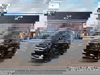 New 2025 Kia Carnival EX