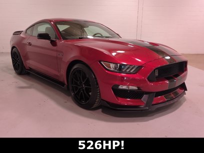 Used 2019 Ford Mustang Shelby GT350 w/ Technology Package