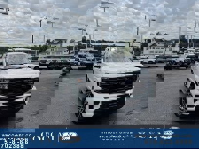 New 2025 Ford Expedition Active