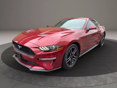 Used 2019 Ford Mustang Coupe w/ Equipment Group 101A