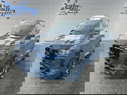 New 2024 Ford Escape ST-Line w/ Tech Pack #1