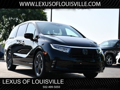 Used 2023 Honda Odyssey Elite