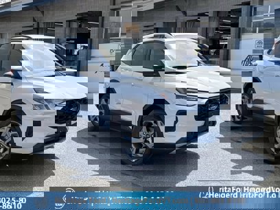 New 2025 Ford Escape ST-Line