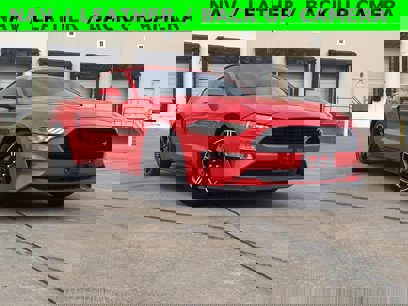 Used 2019 Ford Mustang GT Premium w/ Equipment Group 401A