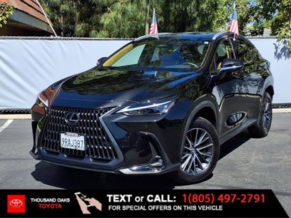Used 2025 Lexus NX 350 AWD w/ Premium Package