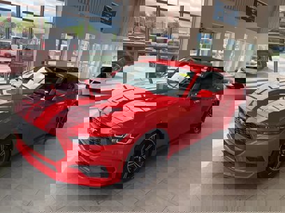 Used 2024 Ford Mustang Coupe