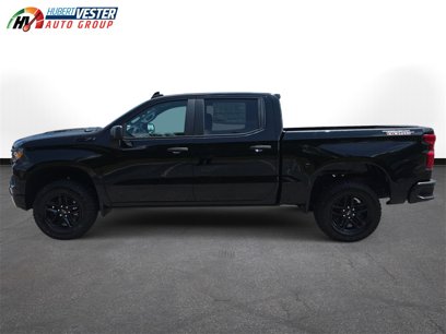 New 2025 Chevrolet Silverado 1500 Custom Trail Boss w/ LPO, Dark Essentials Package