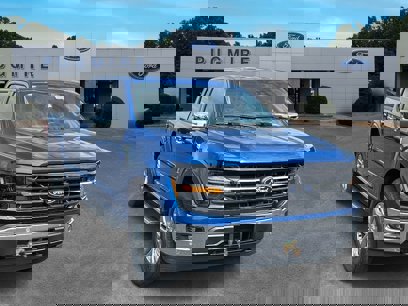 New 2024 Ford F150 XLT w/ Equipment Group 302A MID