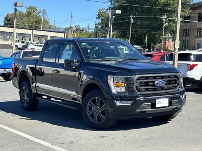 New 2023 Ford F150 XLT w/ Equipment Group 302A High