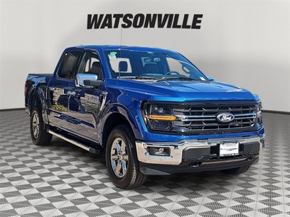 New 2025 Ford F150 XLT w/ Equipment Group 302A MID