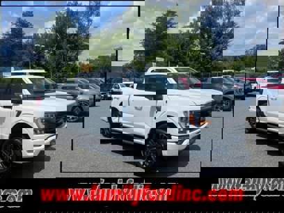 Certified 2023 Ford F150 XLT w/ Equipment Group 302A High