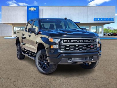 New 2025 Chevrolet Silverado 1500 Custom Trail Boss w/ Turbomax Blackout Package