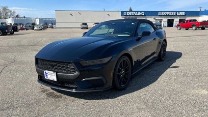 Used 2025 Ford Mustang Premium w/ Mustang Nite Pony Package