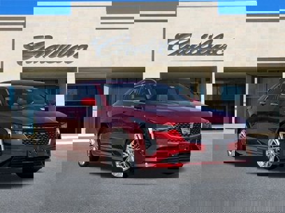 Certified 2023 Cadillac CT4 Premium Luxury w/ Climate Package