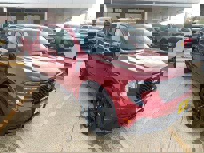 New 2025 Ford Maverick XLT