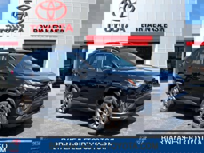 New 2025 Toyota RAV4 Woodland Edition