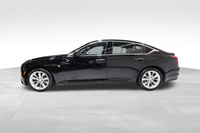 Certified 2025 Cadillac CT5 Premium Luxury