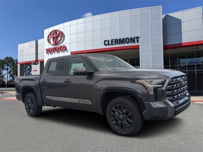 New 2025 Toyota Tundra Platinum