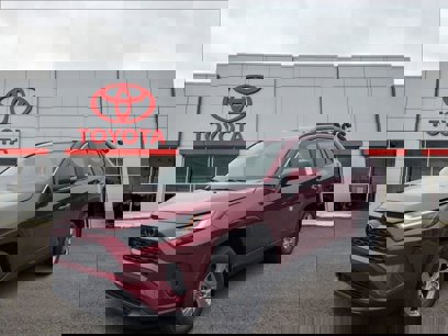 New 2025 Toyota RAV4 XLE