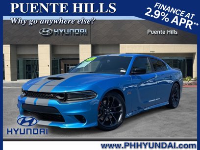 Used 2023 Dodge Charger Scat Pack w/ Plus Group
