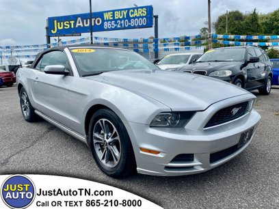 Used 2014 Ford Mustang Premium w/ Equipment Group 201A