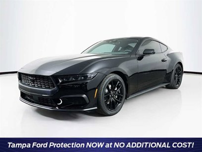 New 2025 Ford Mustang Premium w/ Mustang Nite Pony Package