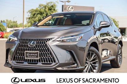 New 2025 Lexus NX 350 AWD w/ Premium Package