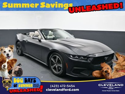 Used 2024 Ford Mustang Premium