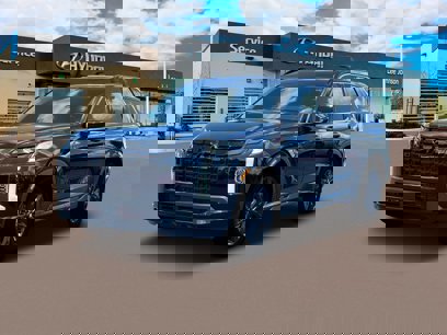 New 2025 Hyundai Palisade XRT