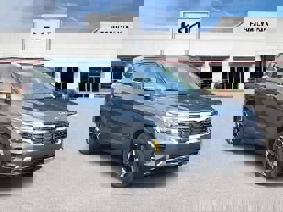 New 2025 Kia Seltos EX w/ EX Sunroof Package