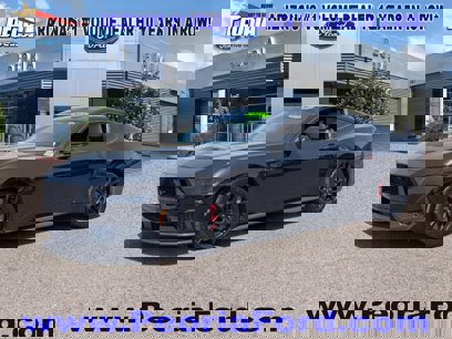 Used 2024 Ford Mustang GT Premium w/ Mustang Nite Pony Package