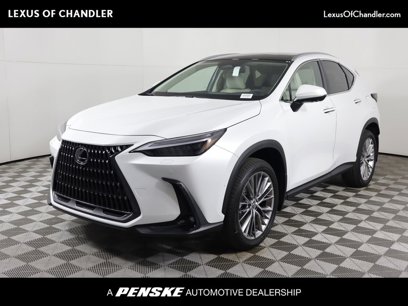 Used 2025 Lexus NX 300h AWD w/ Luxury Package