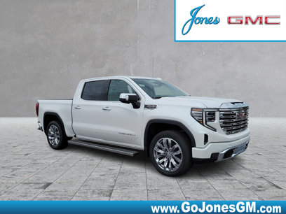 New 2024 GMC Sierra 1500 Denali w/ Denali Reserve Package