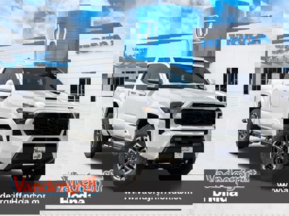 Used 2024 Toyota Tacoma TRD Sport