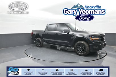 Used 2024 Ford F150 XLT w/ Equipment Group 302A MID