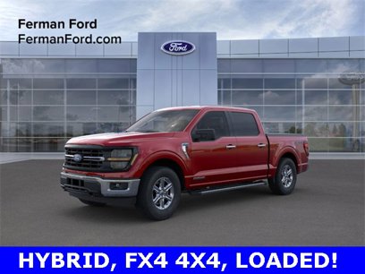 New 2025 Ford F150 XLT w/ Equipment Group 301A Standard