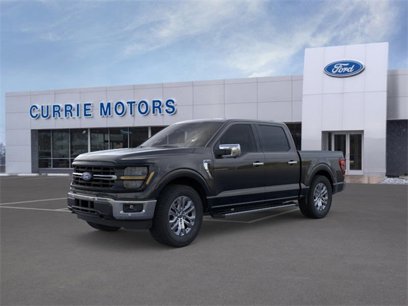 New 2024 Ford F150 XLT w/ Equipment Group 303A High