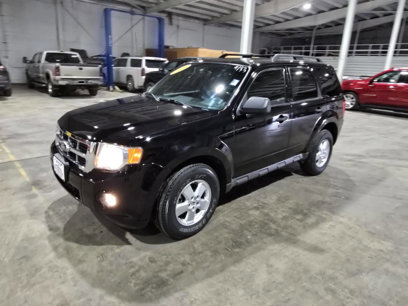 Used 2010 Ford Escape XLT