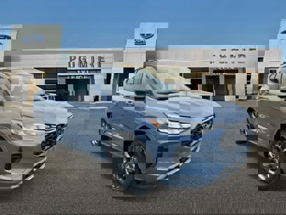 New 2024 Ford Escape ST-Line w/ Tech Pack #1