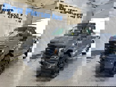 New 2025 Ford F150 Platinum