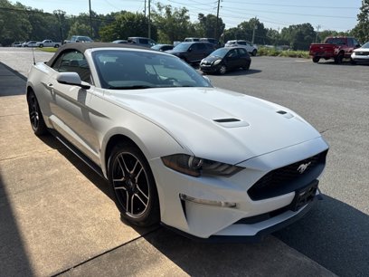 Used 2019 Ford Mustang Premium