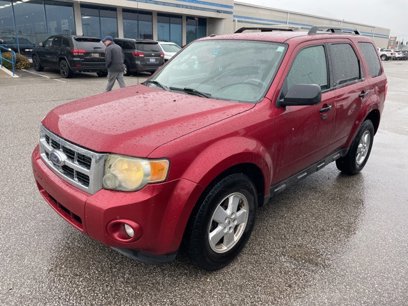 Used 2009 Ford Escape XLT