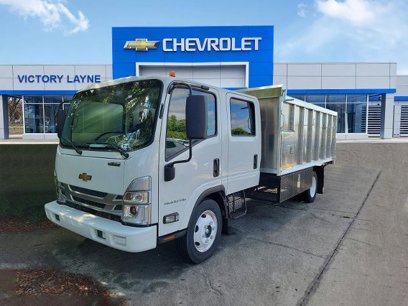 New 2025 Chevrolet Low Cab Forward