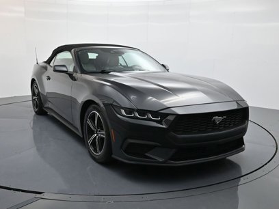Used 2024 Ford Mustang Premium