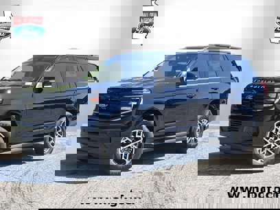 New 2025 Ford Expedition Active